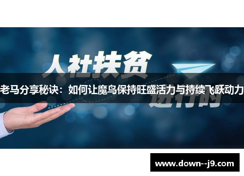 老马分享秘诀：如何让魔鸟保持旺盛活力与持续飞跃动力