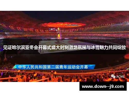 见证哈尔滨亚冬会开幕式盛大时刻激昂氛围与冰雪魅力共同绽放