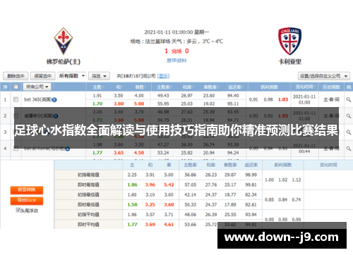 足球心水指数全面解读与使用技巧指南助你精准预测比赛结果